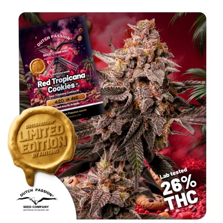 red-tropicana-cookies-image