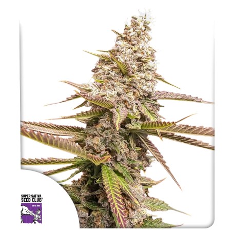 strawberry-cookies-image