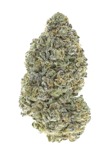 Garlic Mint Sherbet™