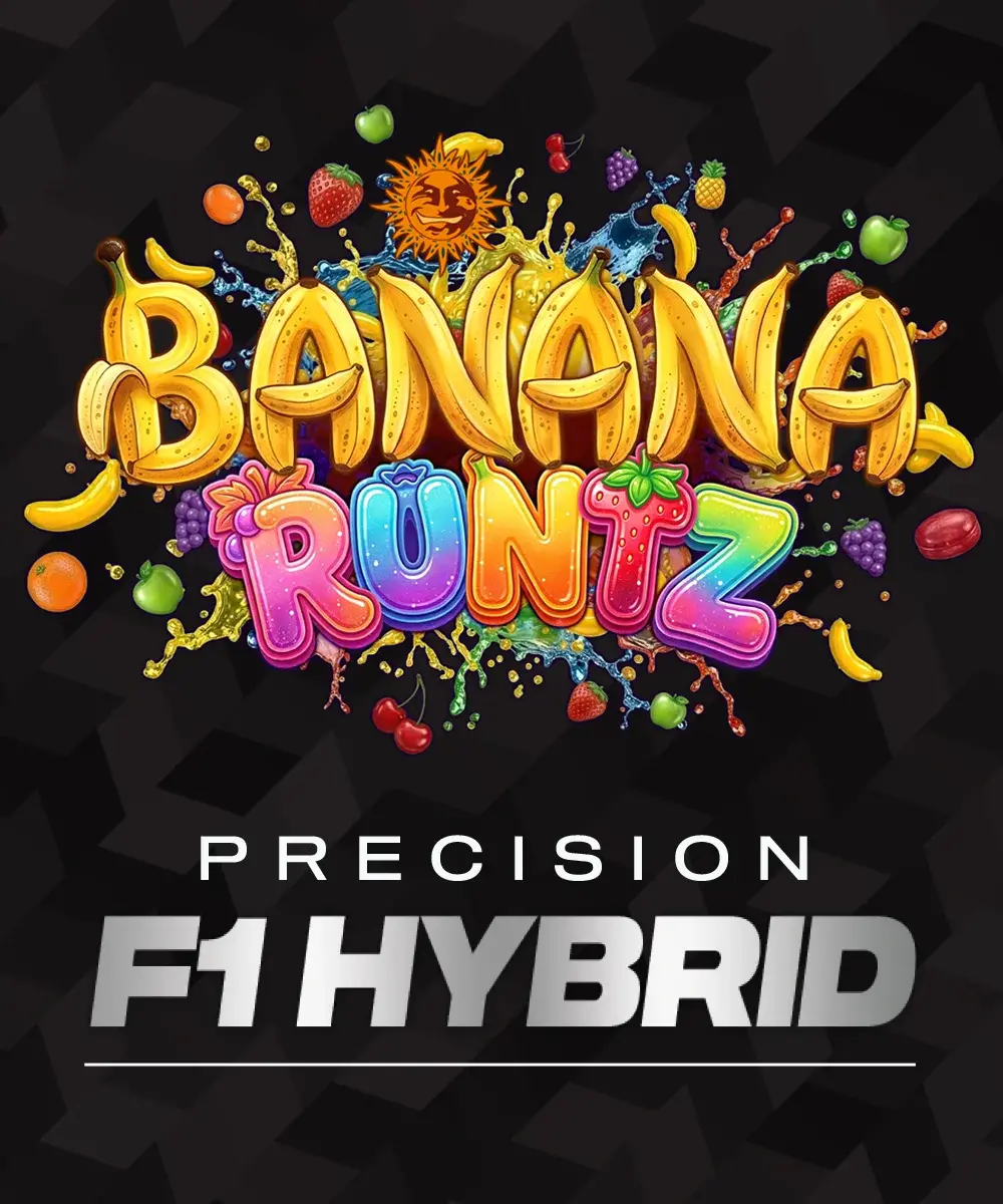 Banana Runtz-image