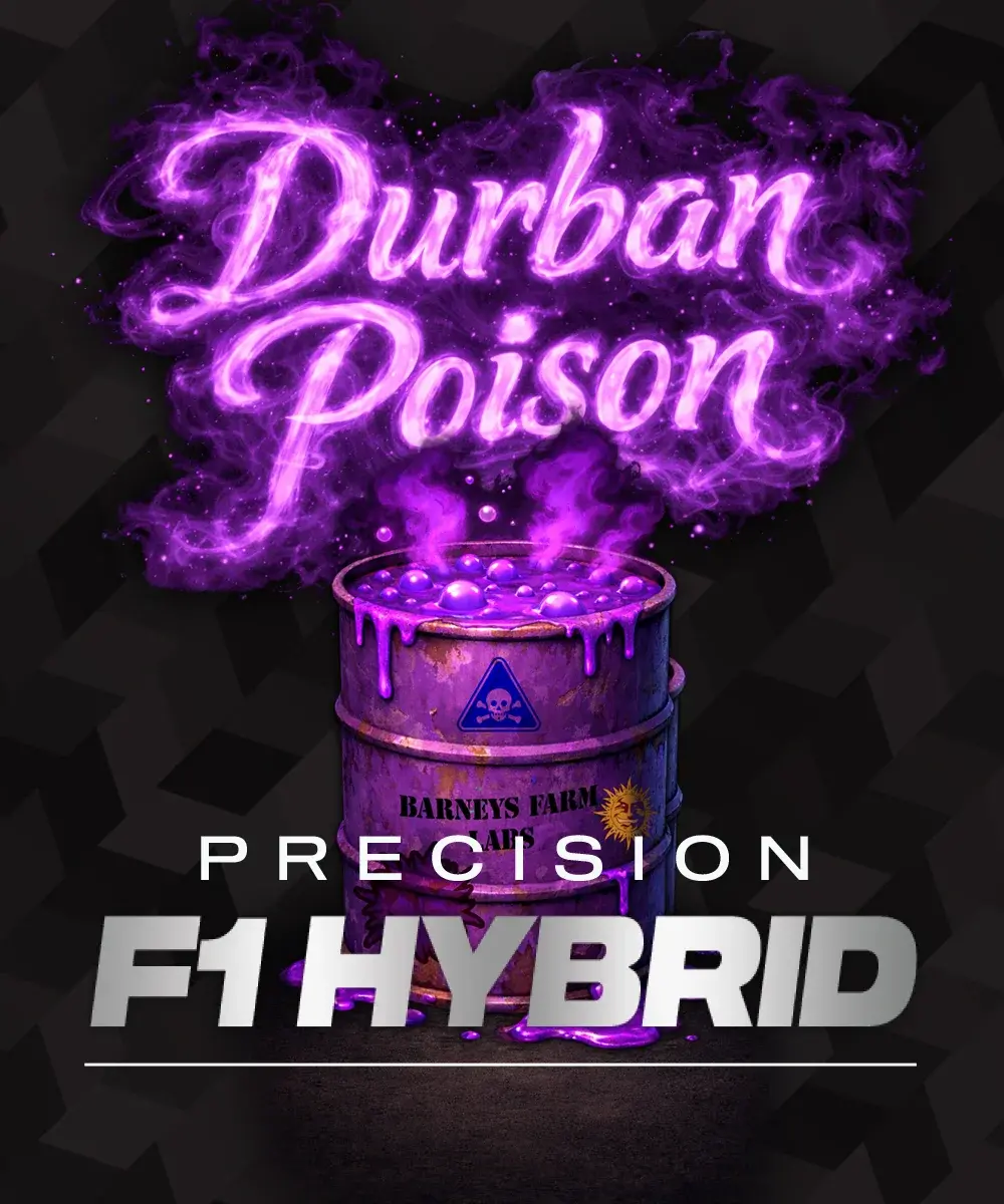 Durban Poison-image
