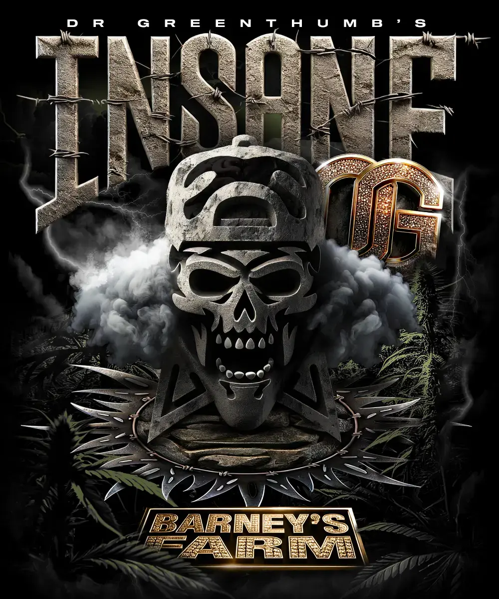 Insane OG-image