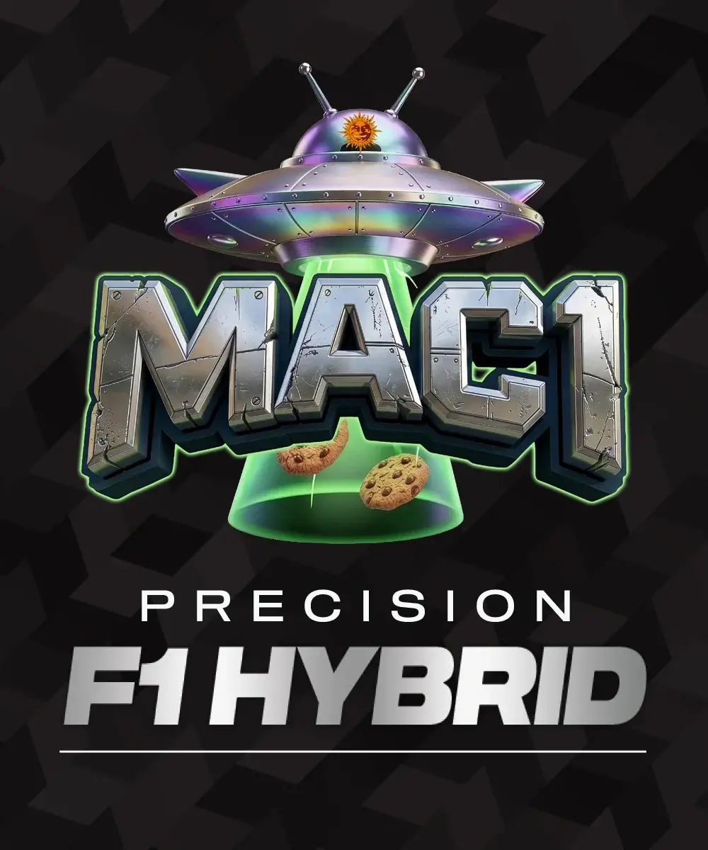 MAC 1-image