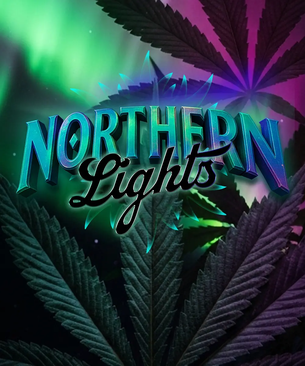 Northern Lights-image