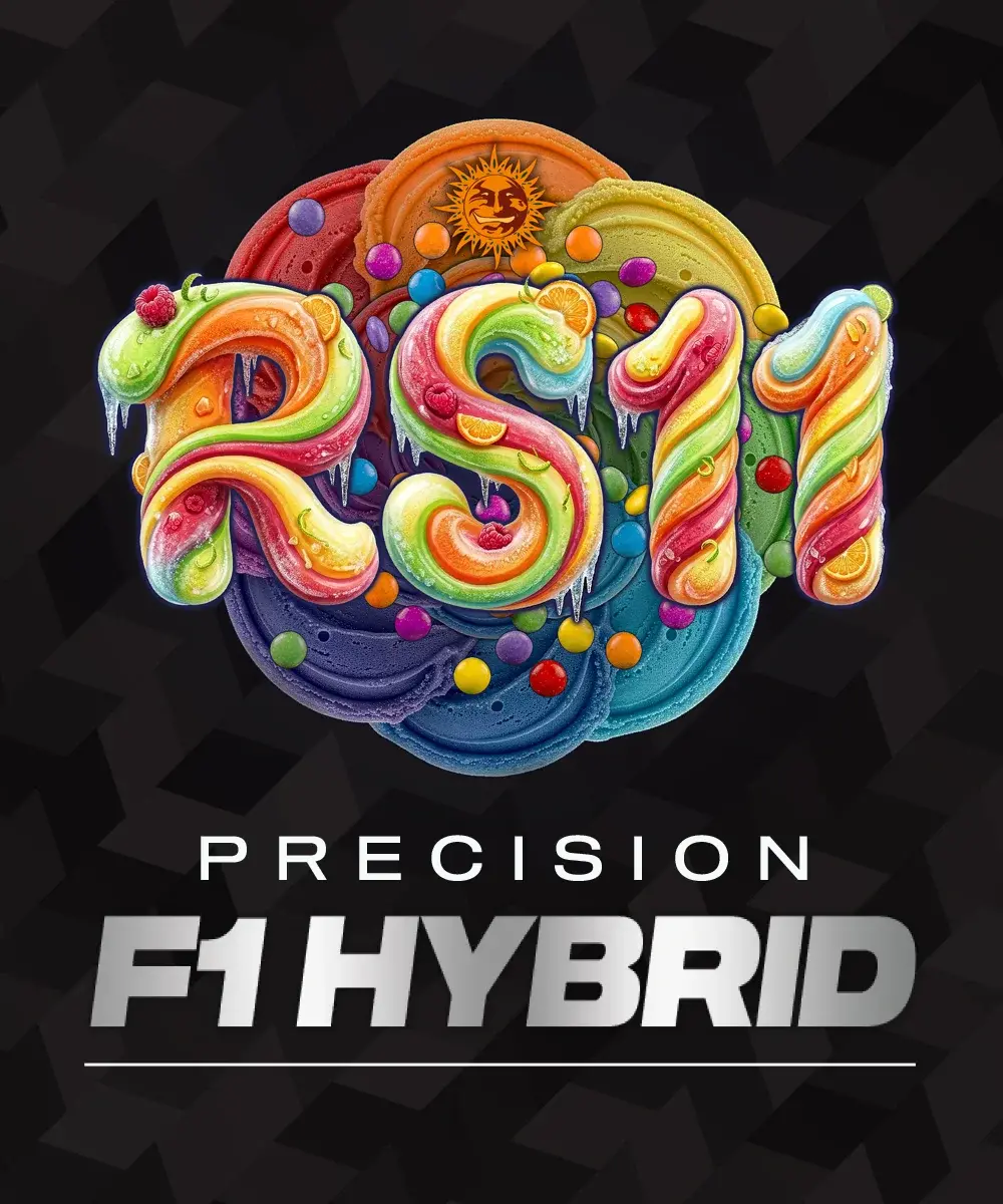 RS11-image
