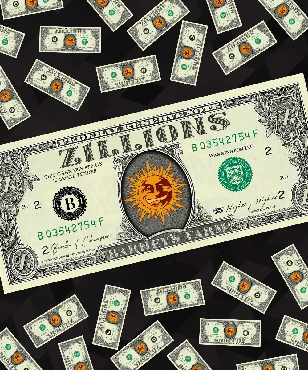 Zillions-image