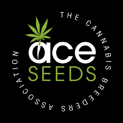 Golden Tiger x Kali China Feminized-image
