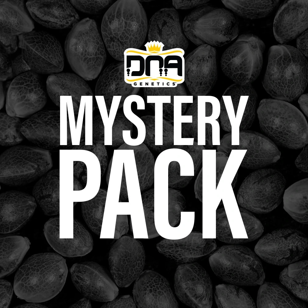 DNA MYSTERY PACK-image