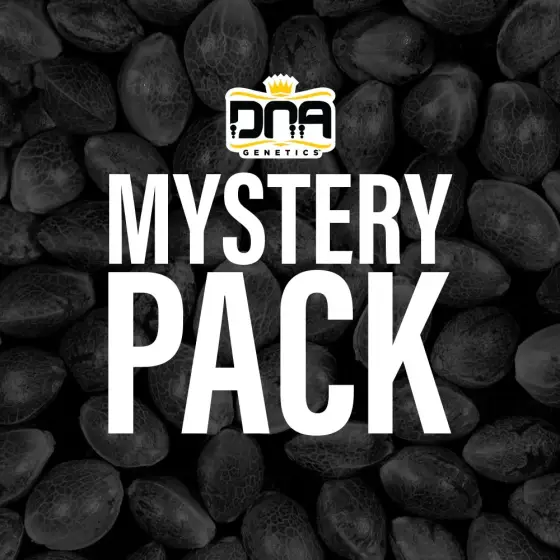 DNA MYSTERY PACK