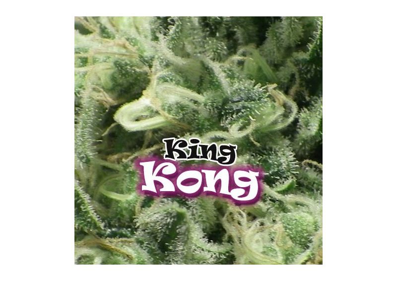King Kong-image