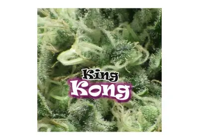 King Kong