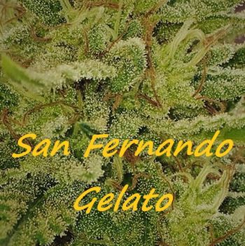 San Fernando Gelato-image