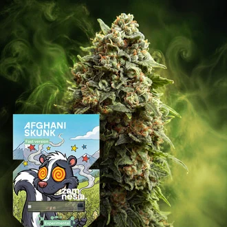 Afghani Skunk Fast Version Feminized