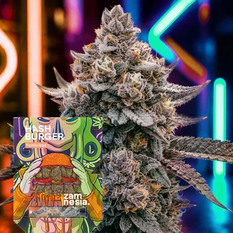 Hash Burger feminized