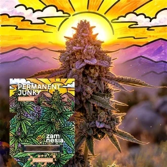 Permanent Junky Feminized-image