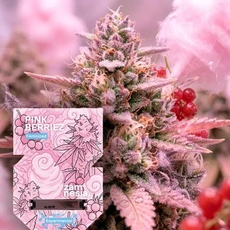 Pink Berriez Feminized