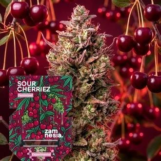 Sour Cherriez Feminized-image