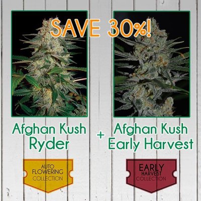 AFGHAN KUSH PACK - FAST