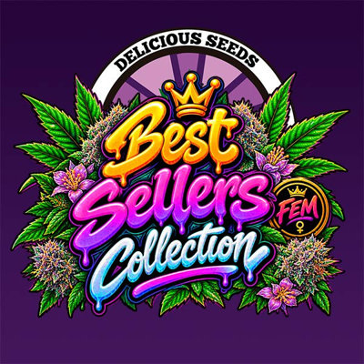 BEST SELLERS COLLECTION
