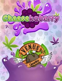 Cheesekaberry