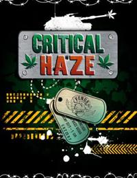 Critical Haze