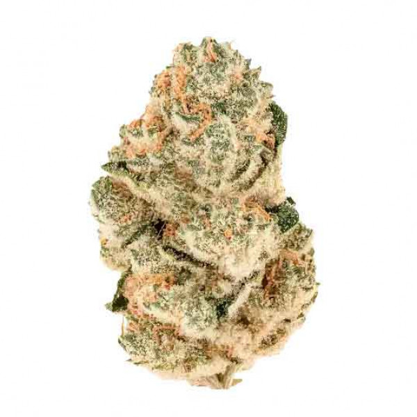 GORILLA MELON-image