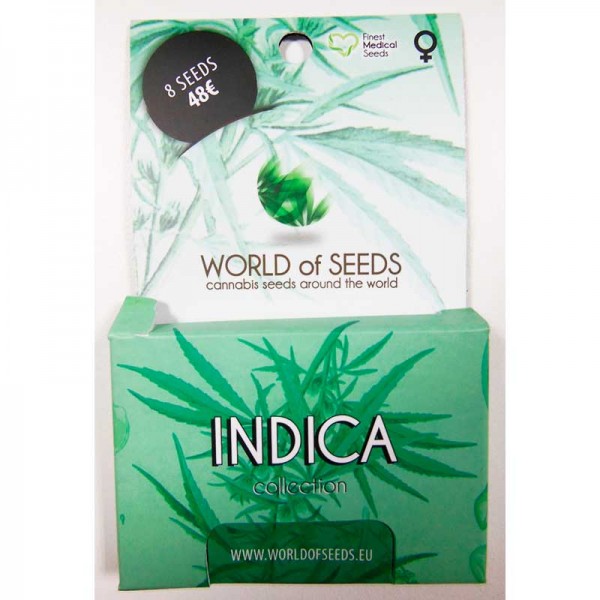 INDICA COLLECTION-image