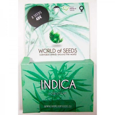 INDICA COLLECTION