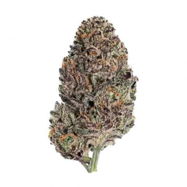 LEMON CHERRY RUNTZ-image