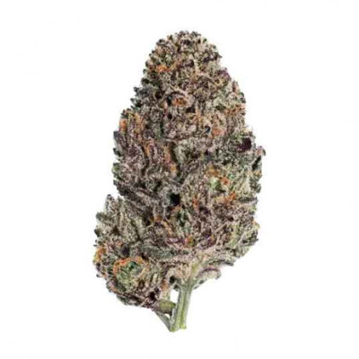 LEMON CHERRY RUNTZ