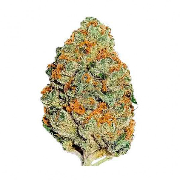 LEMON MANDARIN-image
