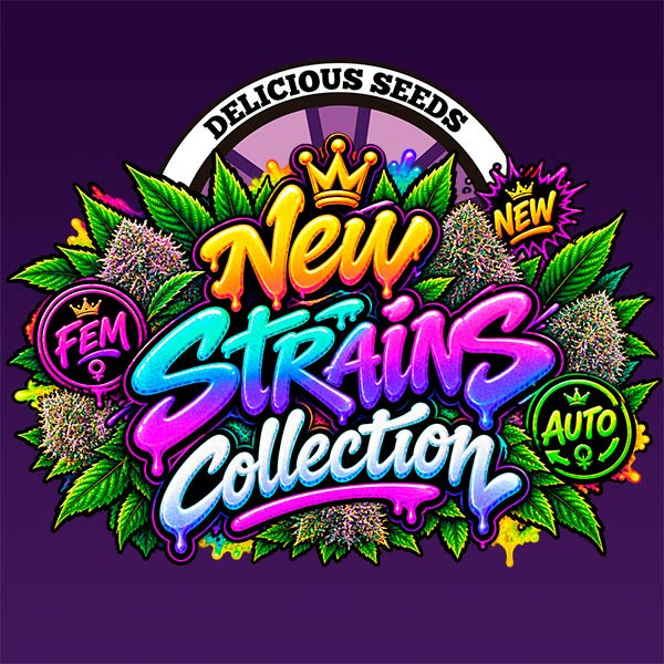 NEW STRAINS COLLECTION-image