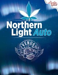 Northern Light Auto