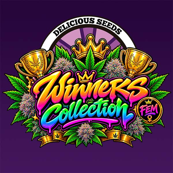 WINNERS COLLECTION-image
