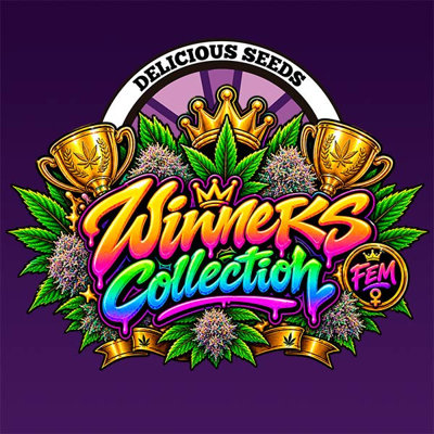 WINNERS COLLECTION
