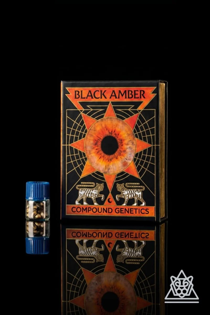 Black Amber Collection-image