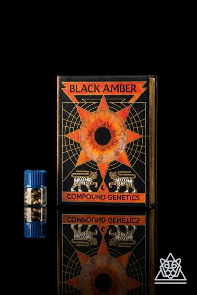 Black Amber Collection