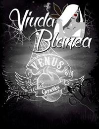 Viuda Blanca