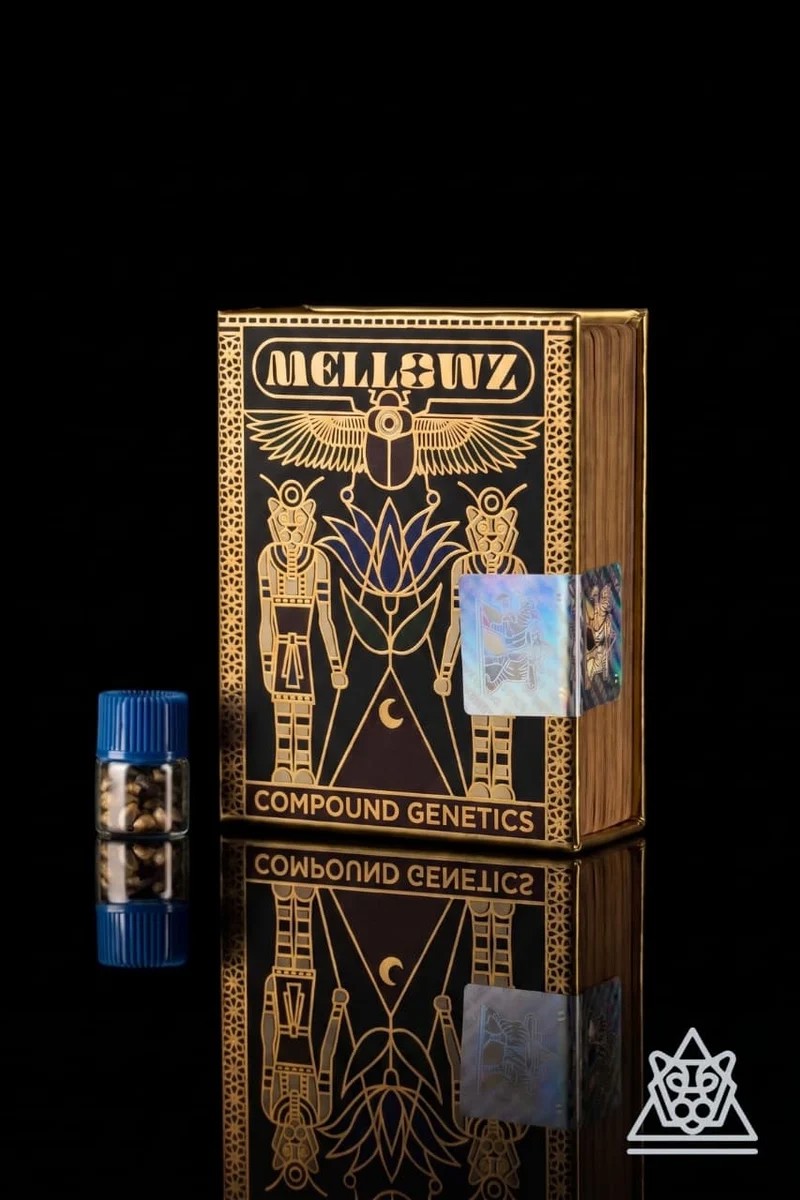 Mellowz Collection-image