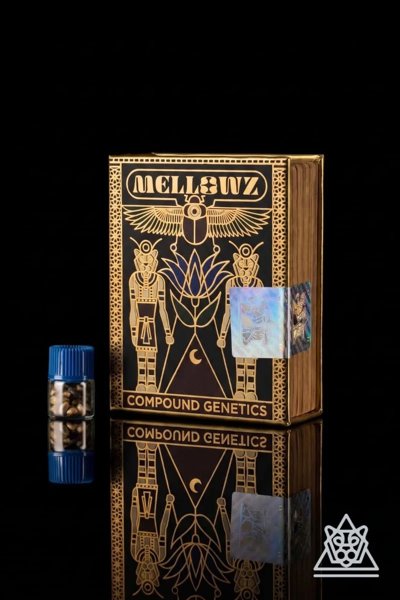 Mellowz Collection