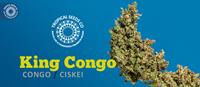 King Congo