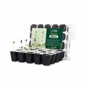 Easy Start-image