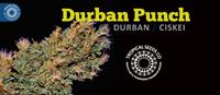 Durban Punch