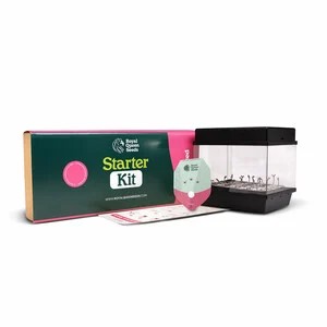 Starter Kit Feminized-image