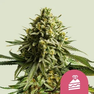 Wedding Cake-image