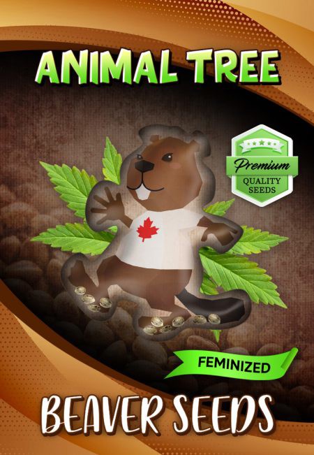Animal Tree-image