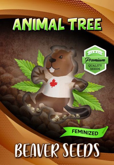 Animal Tree