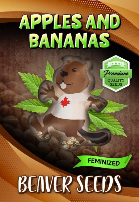 Apples and Bananas-image