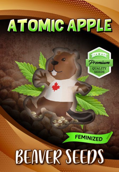 Atomic Apple-image