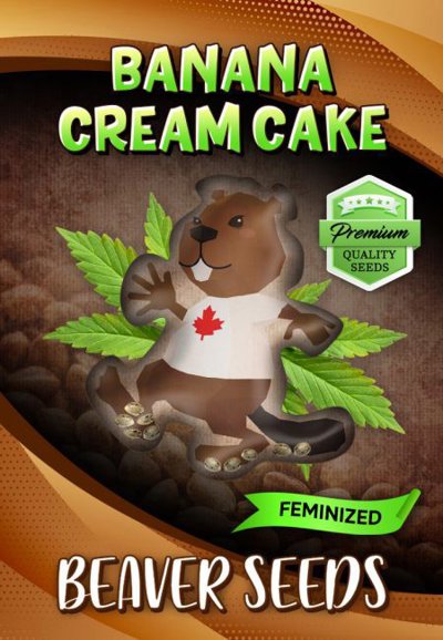 Banana Cream Cake